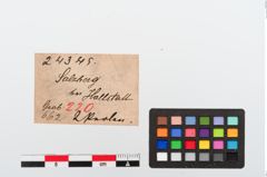 Etiketten zu Glasaugenperle (NHMW-PRAE-024345)